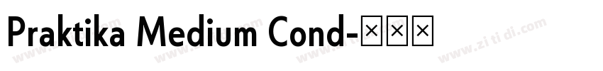 Praktika Medium Cond字体转换